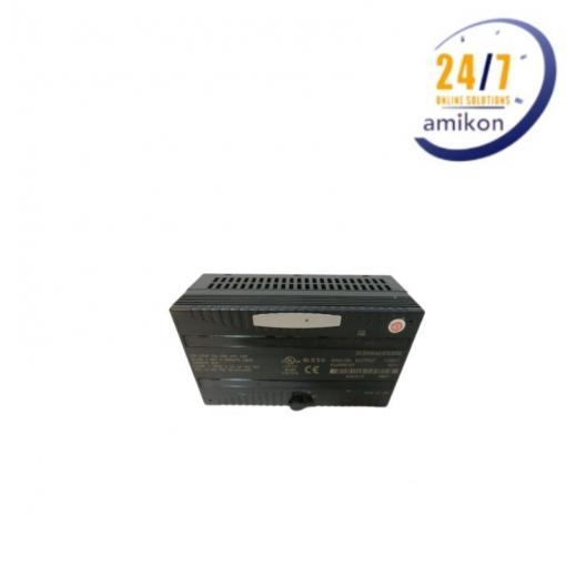 IC200ALG320E