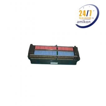 NB1-P56-AC