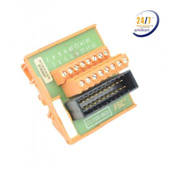 FS-TSDO-0824