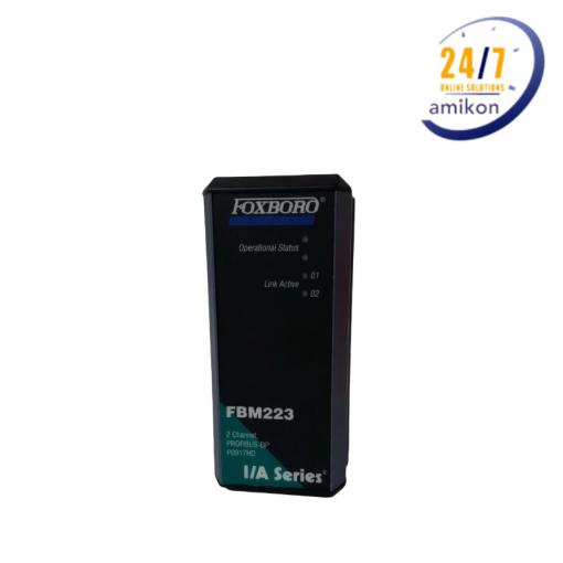 FBM223 P0917HD