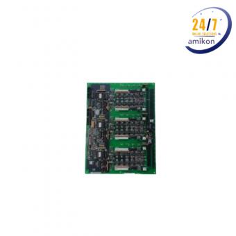DS200PLIBG2ACA