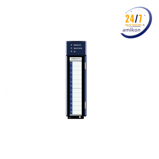 IC695ALG312