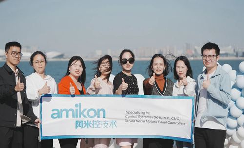 Amikon Team Building